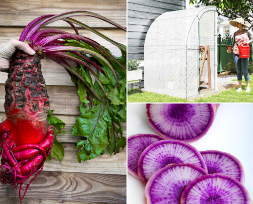 Grow your own cover photo collage