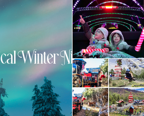 Denver Christmas with the Family cover photo collage