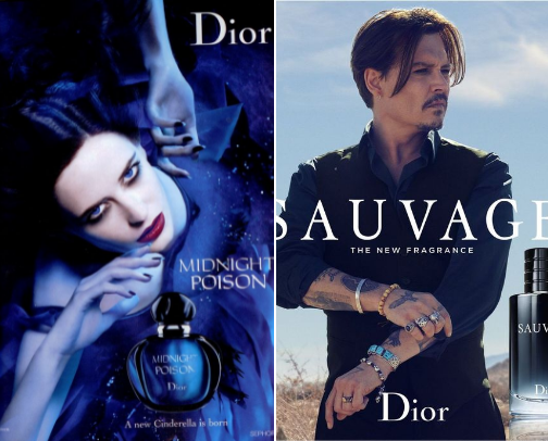 Perfumes Recommended by Celebrities cover photo collage
