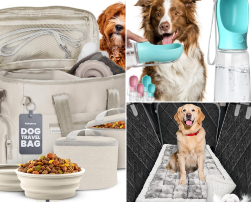 Essential Dog Travel Gear cover photo collage