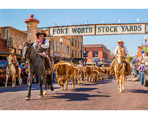 DFW Things To Do From A Local cover photo collage