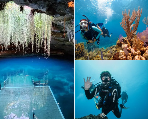 Cool places to dive and snorkel in Florida. cover photo collage