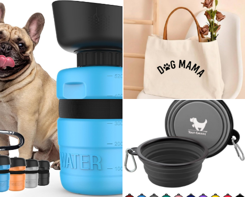 What's In My Dog Mom Bag: Everything I Carry for Arie On-the-Go cover photo collage