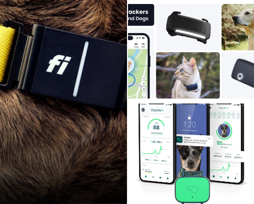 Check out these Pet Accessories cover photo collage