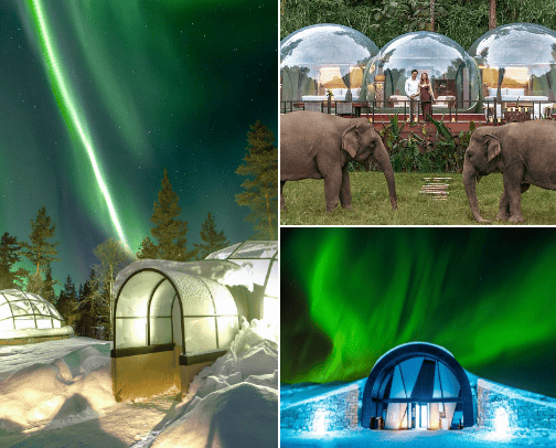 Make this year unforgettable: The Most Unique places to visit cover photo collage