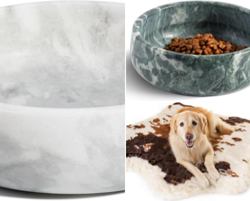 pet favs cover photo collage