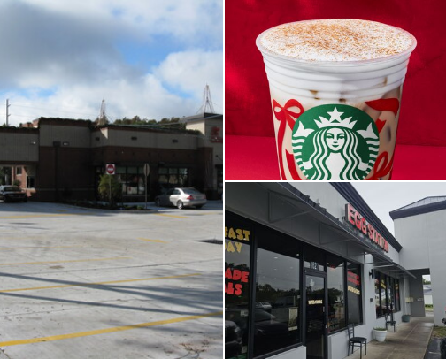 My top Tampa recs cover photo collage