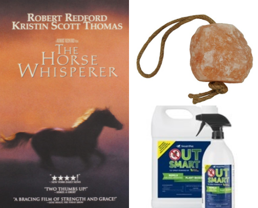 All things Equestrian cover photo collage