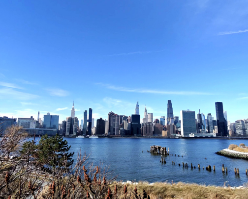 TOP 10 NYC Restaurant cover photo collage