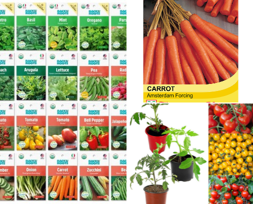 Best Beginner Plant Seeds – Veggies, Herbs & Flowers 🌱 cover photo collage