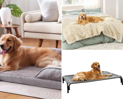 Paw of Approval 🐾 | Everyday Must-Haves cover photo collage