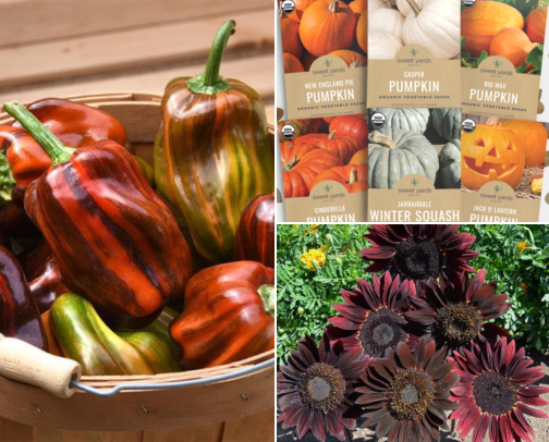 Cottage Garden cover photo collage
