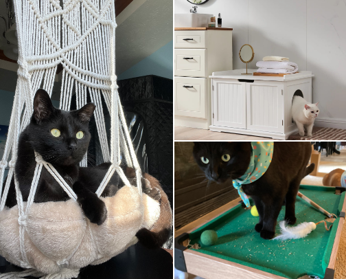 Barnes & Noble’s top Amazon recs cover photo collage