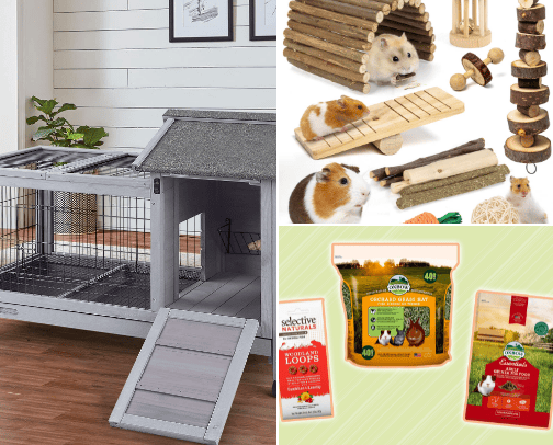 Everything Guinea pigs cover photo collage