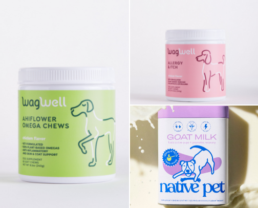 Pup Health Essentials 💪🐶 cover photo collage