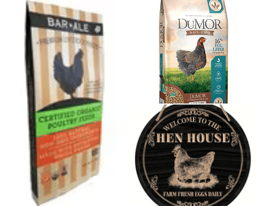 Backyard chicken non GMO feed and other decor cover photo collage