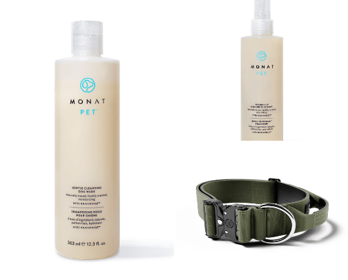 Favorite Products for Dogs cover photo collage