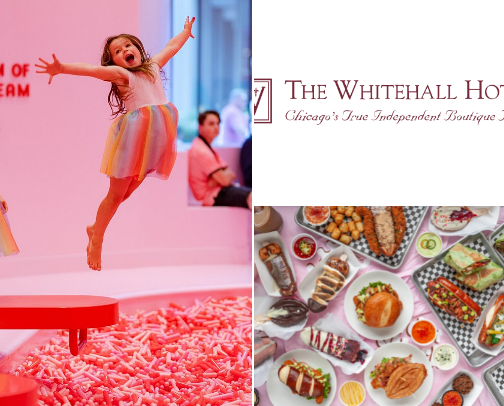 Places I went and loved in Chicago cover photo collage