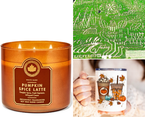 Cozy Fall Vibes: Must-Haves for Crisp Evenings cover photo collage