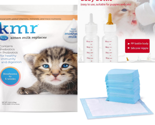 Kitten Fostering 🐱 cover photo collage