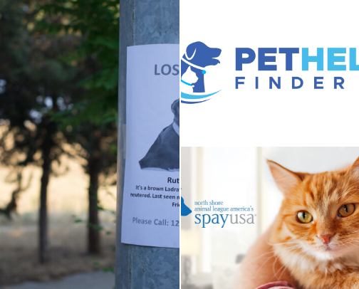 Resources For Pet Owners cover photo collage