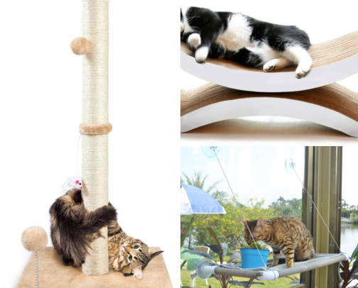 Happy Indoor Cat Checklist: 16 Things That Make Life Better for Cats (and Their Humans) cover photo collage