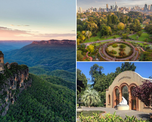 All Things Fall 🍂 Aesthetic Places, Cozy Must-Haves & Weekend Hangs cover photo collage