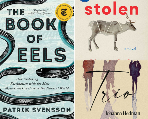 Uncommon stories for curious minds cover photo collage