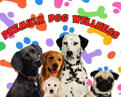 Premium Dog Wellness cover photo collage