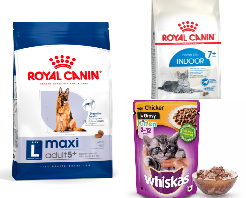 Go-To Pet Food for even the Pickiest Easters cover photo collage