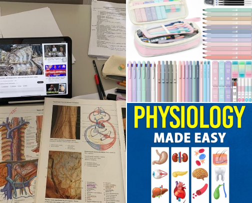 Nursing School Survival Kit 🩺📚 cover photo collage