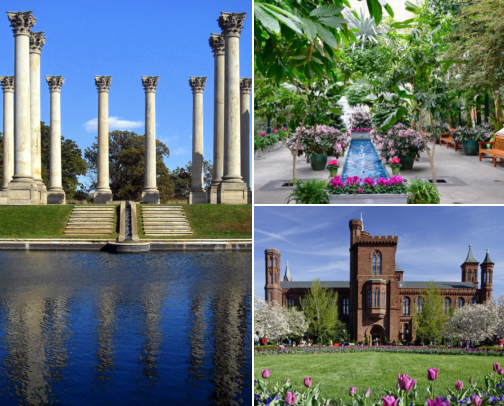 🏛️ My Favorite Things to Do in DC cover photo collage