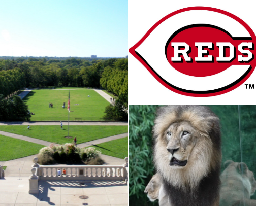 My top Cincinnati recs cover photo collage