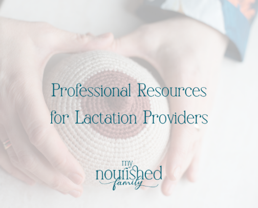 Professional Resources for Lactation Providers & Aspiring LCs cover photo collage