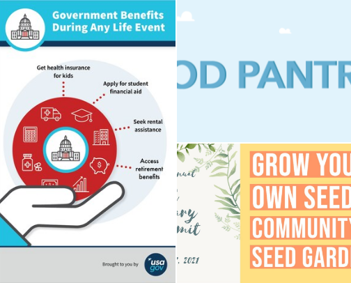 18 Ways to Thrive (Not Just Survive) a Government Shutdown cover photo collage