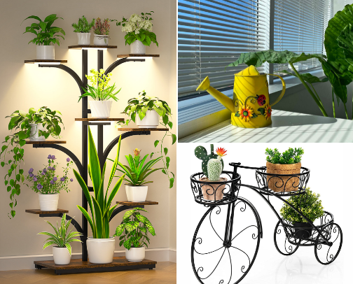 For the Plant Girlies 🌵 cover photo collage