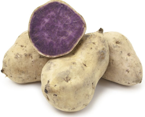 Purple Yum cover photo collage
