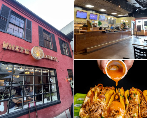 My top Frederick recs cover photo collage