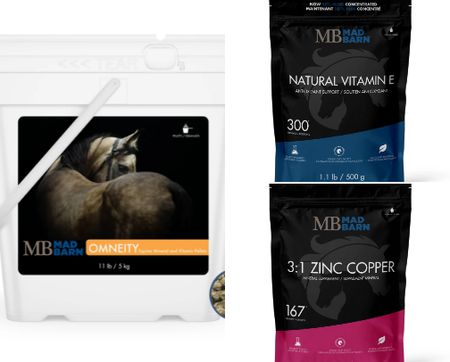 My favourite equine supplements cover photo collage
