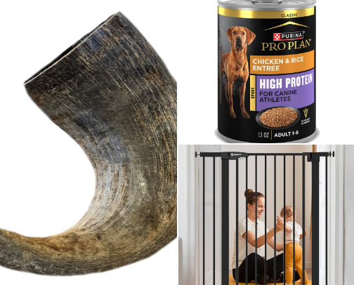 Pet game changers cover photo collage