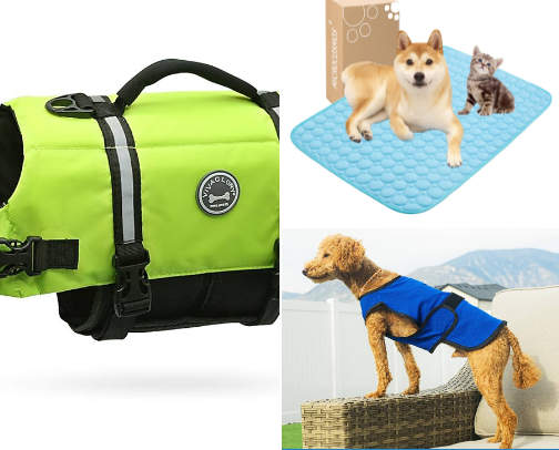 Traveling with dogs to the beach - must haves cover photo collage