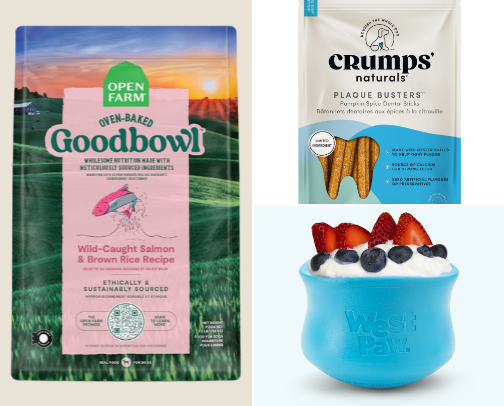 Everyday dog must haves for every household cover photo collage