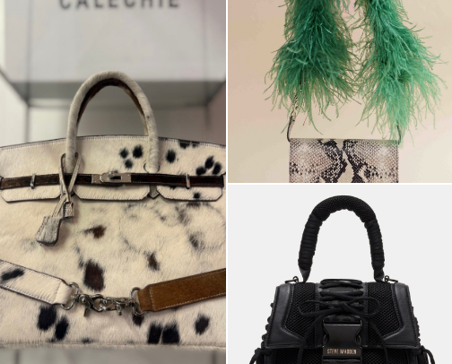 Bag Lady cover photo collage