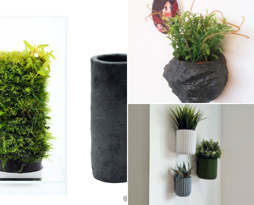 Live your Plant- Lady Dream ...and a little bit of spice..🌱 cover photo collage