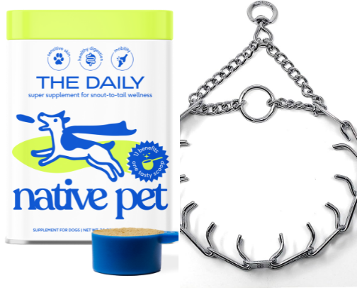 If you’re obsessed with your dog like I am, check this list out! cover photo collage