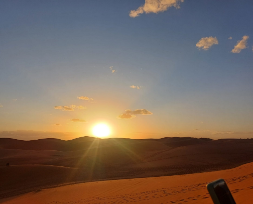 Food recs 🐷🐔🐥🦐🦞🦑🐙🐟🐖🐓🦃🍄‍🟫🍏🍎🍐🍊🍉🍌🍋‍🟩🍋🍇🍓🫐🍍🍑🥥🥝🍅🥦🫛🥑🥒🌶️🫑🌽🧅🧄🥕🥔🥐🧀🧇🥞🥩🍗🍖🦴🍕🍟🍔🌭🫓🥪🥙🥗🫔🌯🌮🥘🫕🍛🍲🍜🍝🍣🍱🥟🍤🥠🍰🎂🧁🍭🍬🍫🍪🍩🍿🥜🥡🍽️🍴🥢 cover photo collage