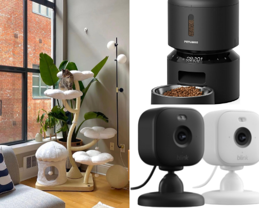 Cat products you shouldn’t (can’t) live without 🐈‍⬛ cover photo collage