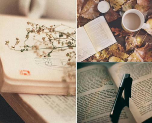 Shut Up and Read This: The Definitive Novel Collection cover photo collage