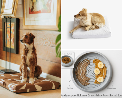 My Doberman made this list herself cover photo collage