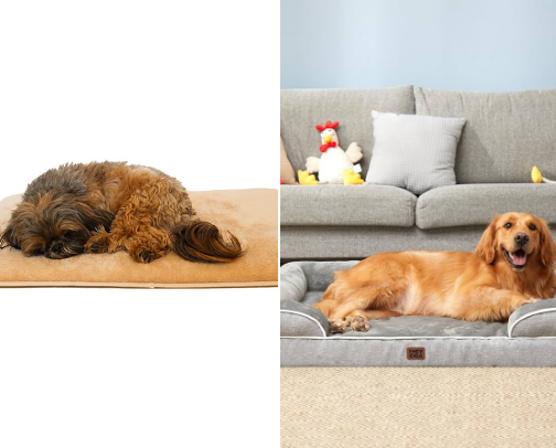 PET ESSENTIALS - EVERYTHING YOUR FURRY FRIENDS NEEDS 🐶🐾 cover photo collage